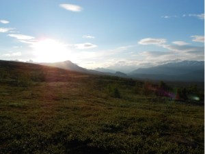 %E7%BE%8E%E3%81%97%E3%81%84%E5%A4%AA%E9%99%BD